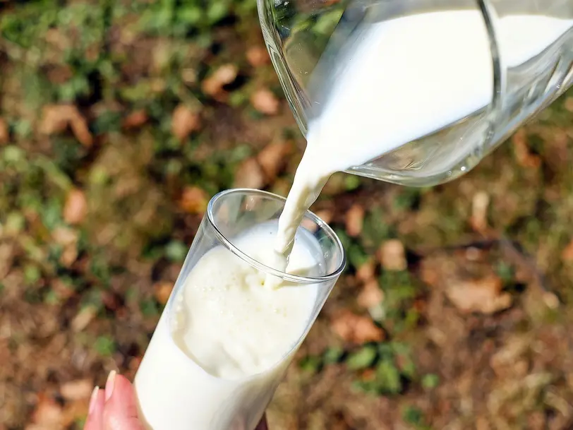 Rieckens Landmilch in Grossbarkau
